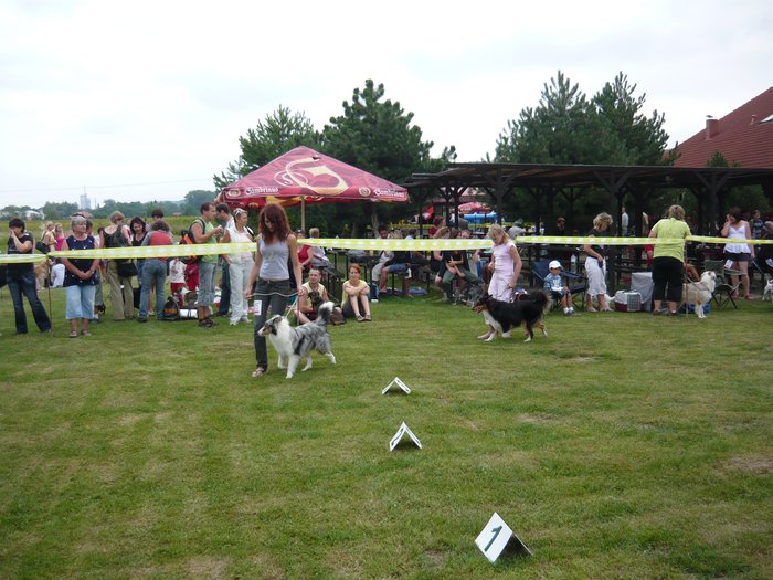2009.jpg
